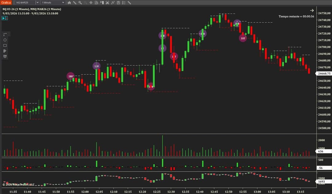 Indicador Big Trades - NinjaTrader